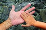 adult and children hands holding underwater
