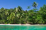 Tropical Beach with coconut palm trees 
