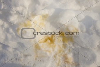 Dog's urine on the snow