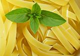 Dry pasta with basil