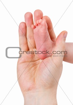 Small leg of the newborn baby girl in the big hand of the father, isolated on a white background