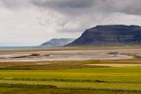 Green meadow Vestfjord - Iceland