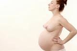 pregnant woman profile nude on white