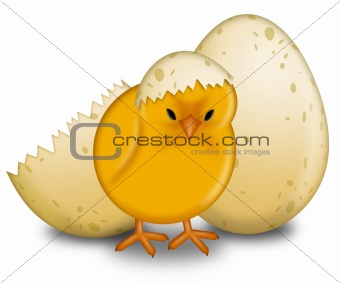 Easter Chick Hatching with Eggs