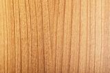 Pattern of wood - can be used as background 