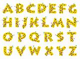 sunflower alphabet A-Z isolated on white background