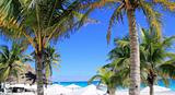 caribbean tropical beach white parasol coconut palm