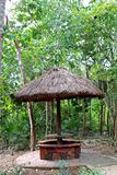 Jungle palapa hut sunroof in Mexico Mayan riviera