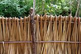 Mayan palm tree leaves wood fence in rainforest