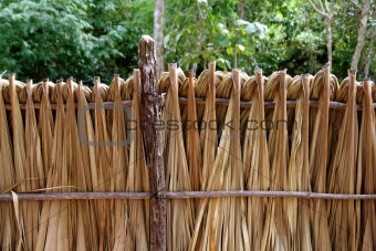 Mayan palm tree leaves wood fence in rainforest