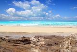 Caribbean tropical beach from weathered limestone