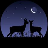 Two doe silhouettes in moonlight