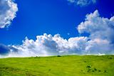 Green grassland and clouds