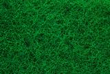 Green abrasive sponge texture background
