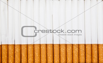 various cigarettes close-up
