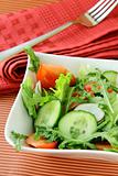 fresh salad with tomato and cucumber