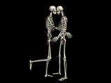 Skeleton couple