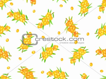 seamless pattern with sea-buckthorn berries on wine
