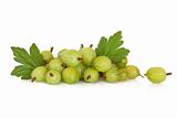 Gooseberry Fruit