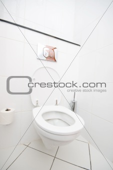 Interior of the room - Toilet in the bathroom 