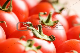 Red tomatoes arranged at the market stand