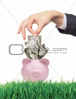 Piggy bank with dollars on grass and woman hand isolated on whit