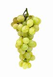 fresh grape isolated on white