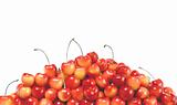 fresh cherry isolated on a white background