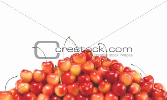 fresh cherry isolated on a white background