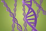 Purple DNA helices on a green background with shallow DOF