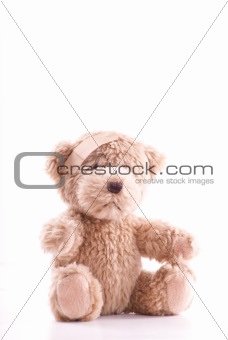 Head Injured Teddy Bear