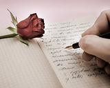 write a love letter with a rose