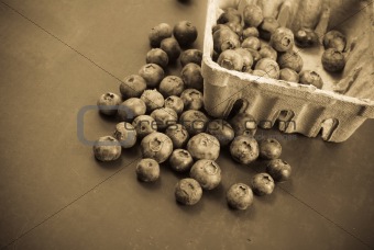 Blueberries in Sepia Processing