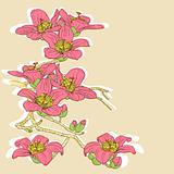 tender twig blossoming orchids on a light background 