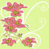 tender twig blossoming orchids on a light background 