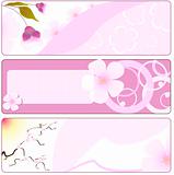 Spring flower banner with sakura. vector illustration