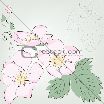 strawberry berry and flower. Vector greeting card.