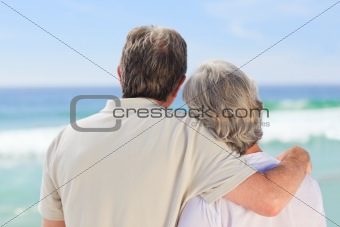 Senior couple looking at the sea