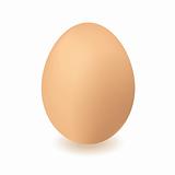 chick end egg