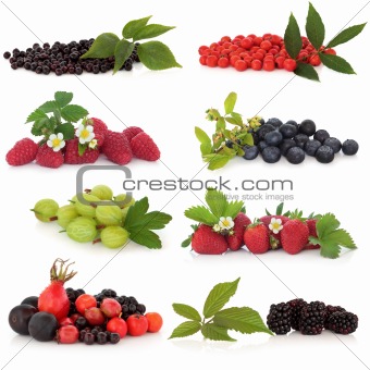 Berry Fruit Sampler