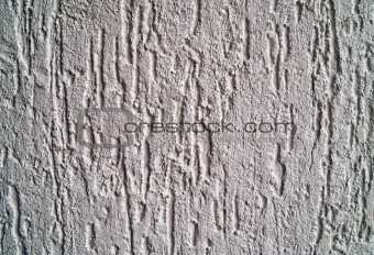 Plaster Textured Walls