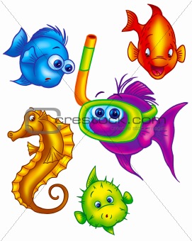 assorted colorful fish