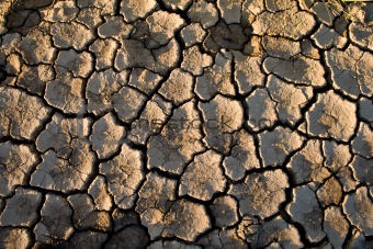The soil in the fissures