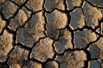The soil in the fissures