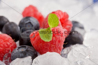 Berries on ice 