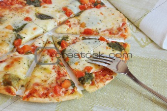 Appetizing pizza with mozzarella cheese 
