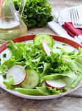 salad with radishes,cucumber,green peas and sprouts