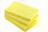 Yellow sponges