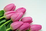 A Pink Tulip Bouquet