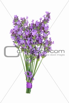 Lavender Herb Flower Posy